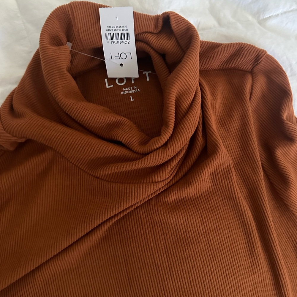 Loft Ribbed Turtleneck